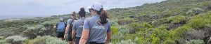 JMW staff participate in Coastrek to raise funds for Beyond Blue